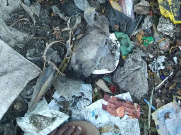 3 தனிப்படைகள் 