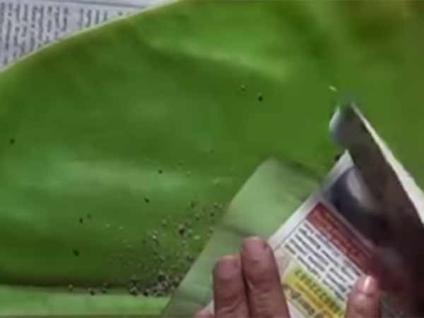 பொட்டலங்கள் 