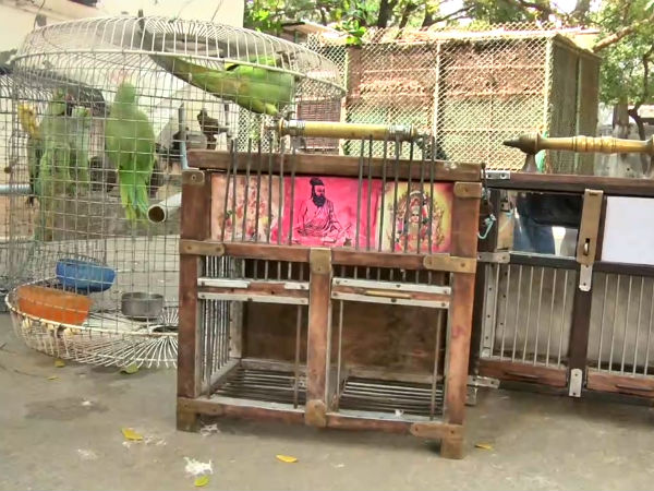 கூண்டோடு பறிமுதல்