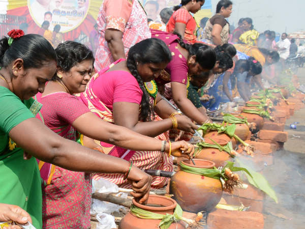 TN Govt., announces 14th also Leave For Pongal Festival TN Govt., announces 14th also Leave For Pongal Festival