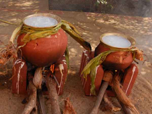புதுப்பானையில் பொங்கல்