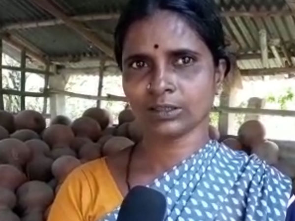 Government give free pots to ration card holders says traditional pot manufacturers in villupuram 