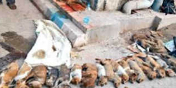 கண்ணீர் வடித்தனர் கண்ணீர் வடித்தனர்