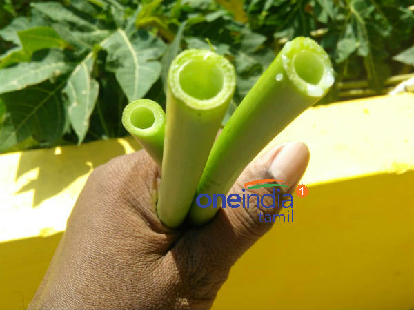 மாற்று ஸ்ட்ரா 