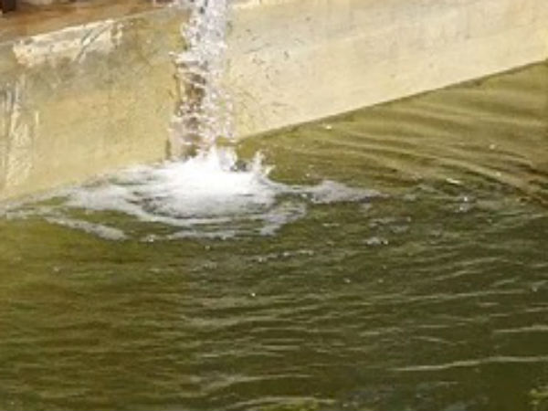 மிதந்த பொம்மை 