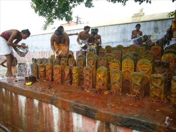 பயணமே வாழ்க்கை பயணமே வாழ்க்கை
