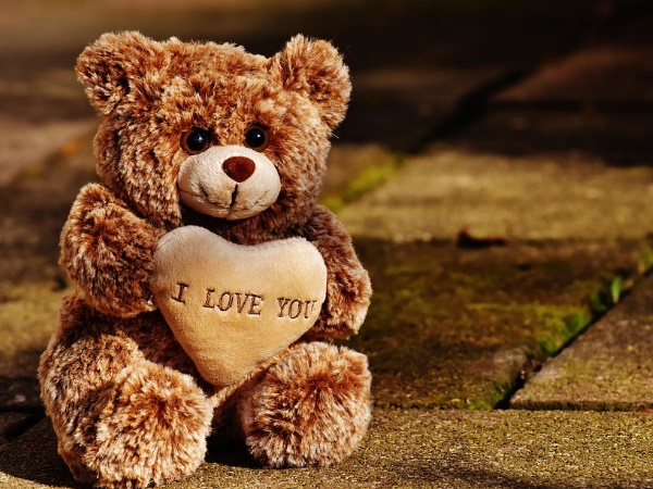 டெட்டி டே 