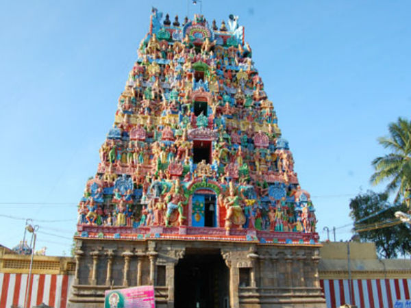 மாசியில் தாலிக்கயிறு