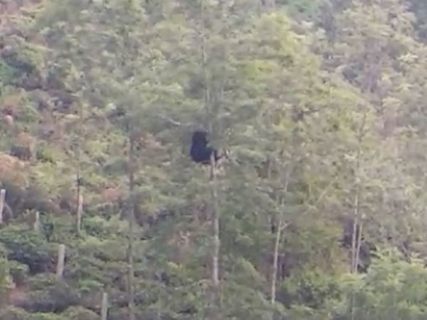 பொதுமக்கள் அச்சம் 