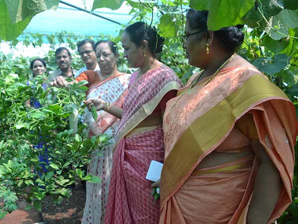  காய்கறிகள் எப்படி கிடைக்குது?