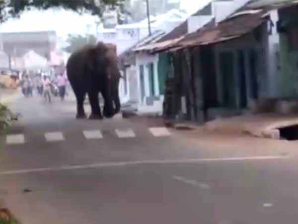 நல்ல தம்பி 