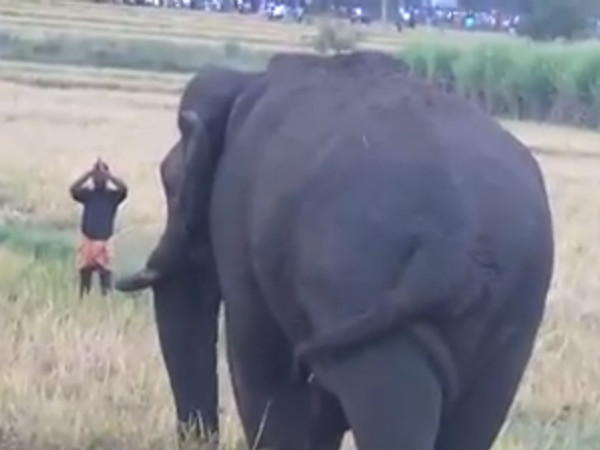 சின்னத்தம்பி முகாம் 