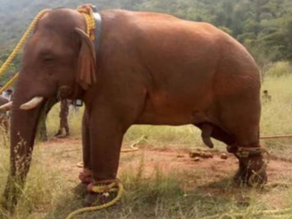 பத்திரமாக அனுப்பப்படும் 