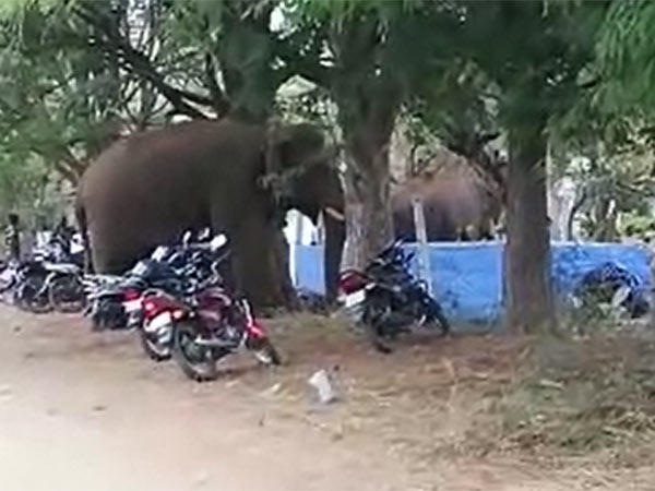 பொதுமக்கள் அதிர்ச்சி 