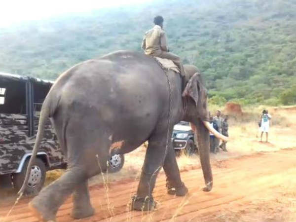 துன்புறுத்தவில்லை 