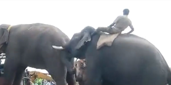 லாரியில் ஏற்றினர் 