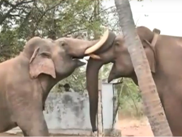 டச்சிங்தான் 