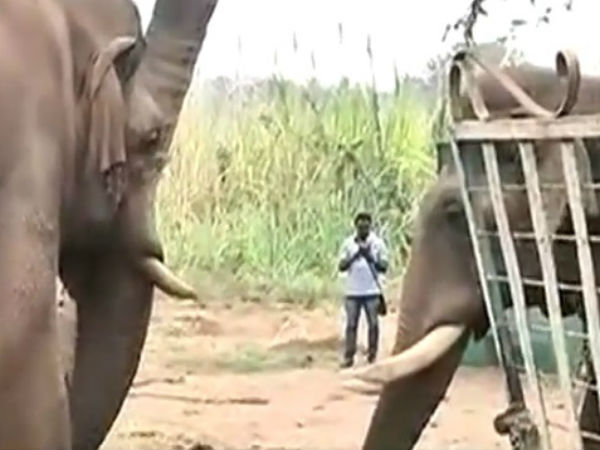 அச்சுறுத்தல் இல்லை அச்சுறுத்தல் இல்லை