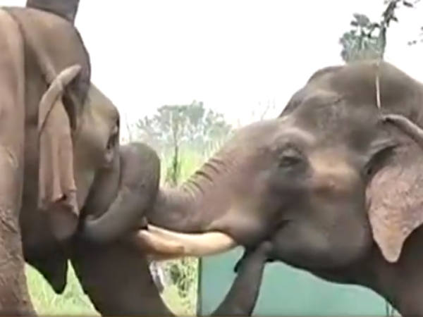 கொஞ்சி விளையாட்டு 