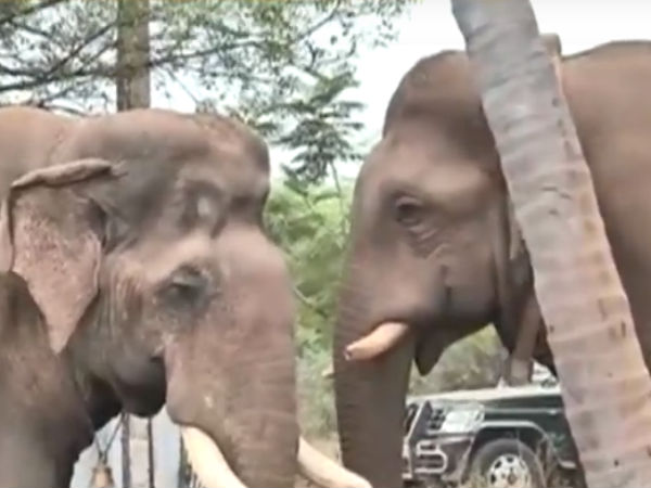 தோழனாக்கி விட்டான் 