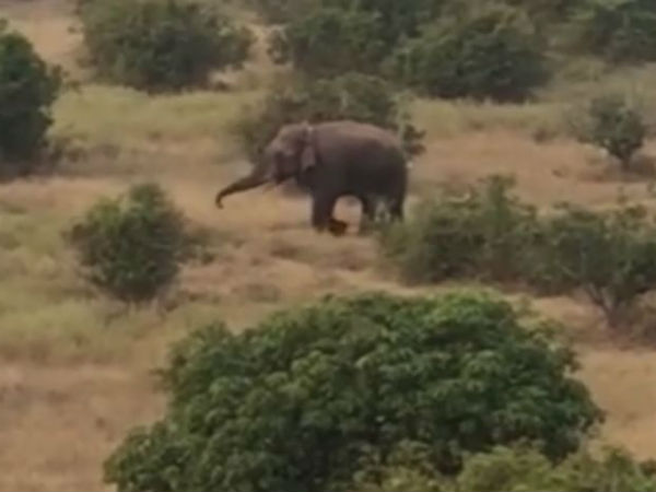 நிலுவையில் உள்ளது 