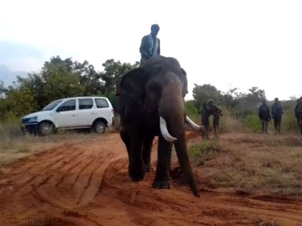 கமல்ஹாசன் கருத்து கமல்ஹாசன் கருத்து