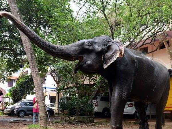 70 வருடம் 