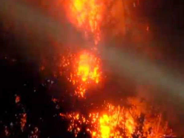 மரங்கள் நாசம் 