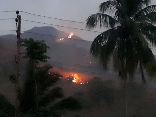 The forest fire occurred in aryankavu forest area 