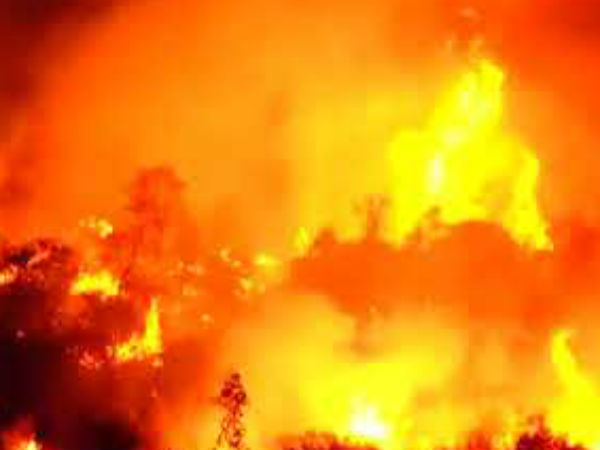 தீயை கட்டுப்படுத்த போராட்டம் 