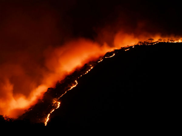 Forest fire may spread in main areas of the mudumalai tiger reserve, forest officials said 