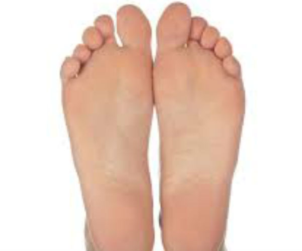 செல்வம் தரும் கோடுகள்