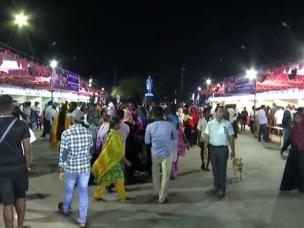 govt organised street food festival govt organised street food festival