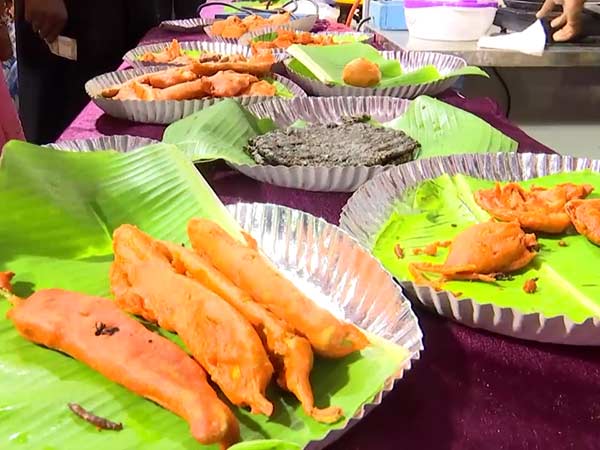 govt organised street food festival govt organised street food festival