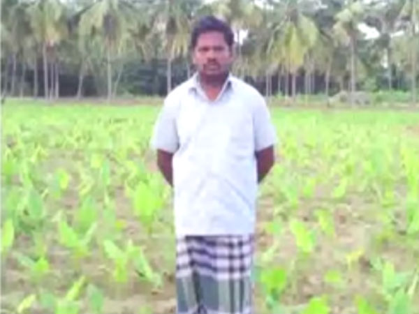 ஆசை நாயகி 