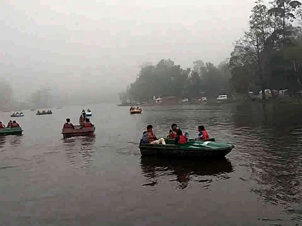 பனியின் தாக்கம் 