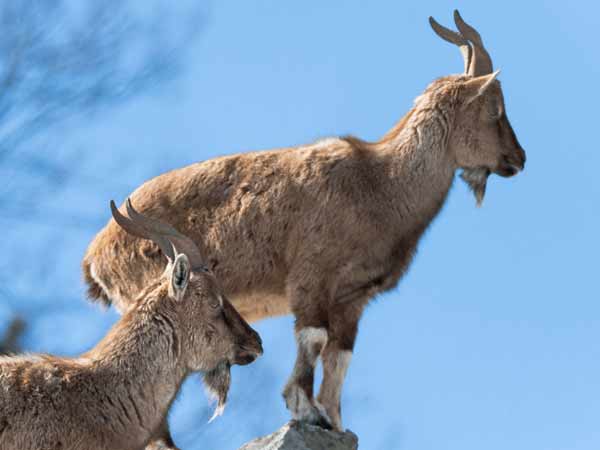 மிகப்பெரிய தொகை 