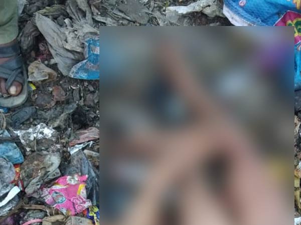 ஒரு கை, 2 கால்கள் 