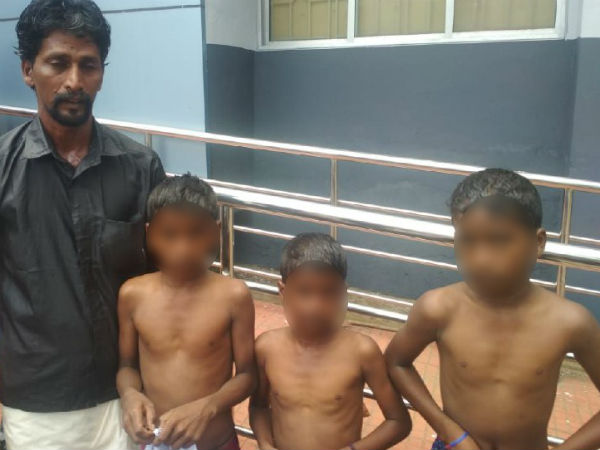 மீட்டனர் மீட்டனர்