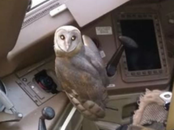 ஏர்போர்ட் விளக்கம் 