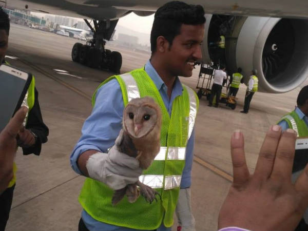 பறக்க விட்டார்கள் 