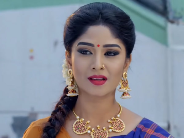 ஜொலிக்கும் தாரகை 