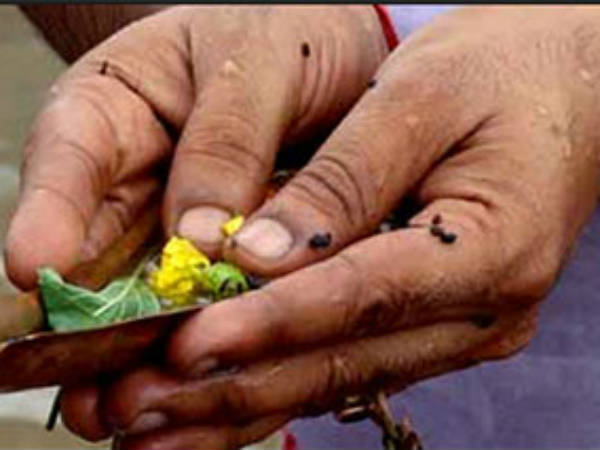 சனிதோஷம் விலகும்