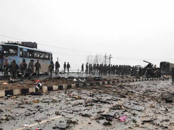 ஆட்டோமொபைல் நிபுணர் 