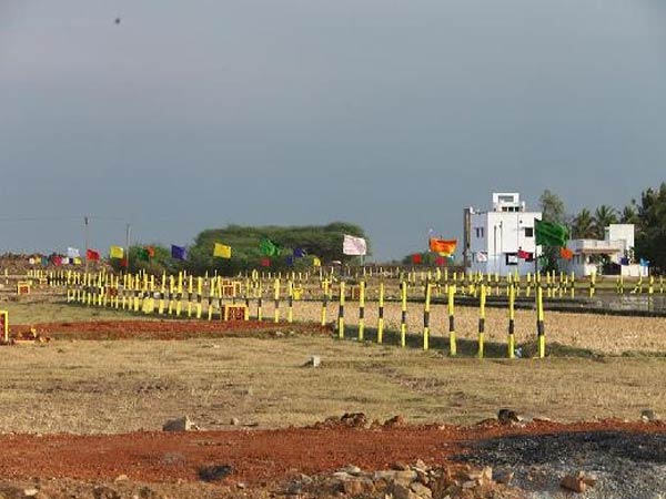 ரியல் எஸ்டேட் உரை