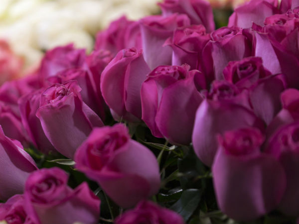 15 நாட்களுக்கு முன்னர் 