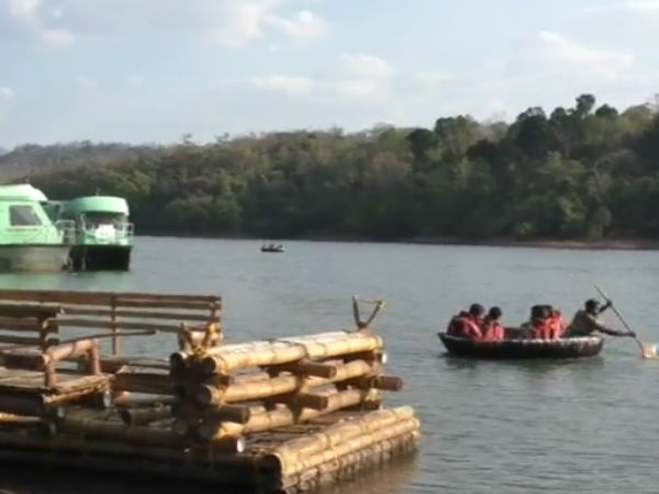 பறவை காட்சி