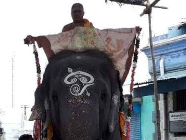 Masi festival begins in Tiruchendur Murugan temple