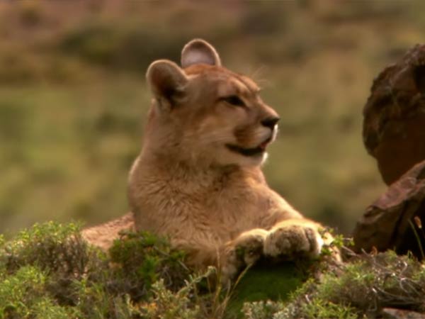உடம்பெல்லாம் காயம் 