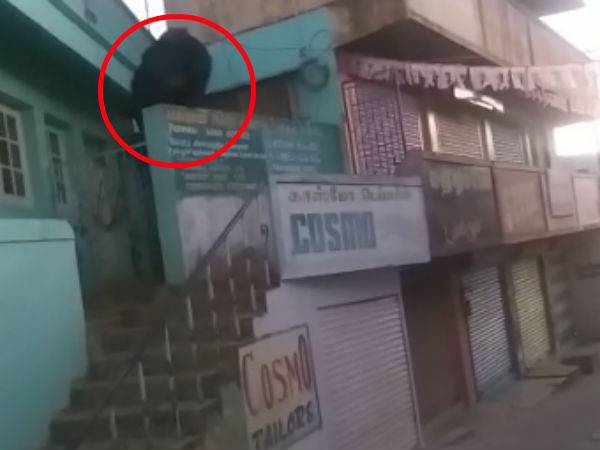 நாய்கள் குரைத்தன நாய்கள் குரைத்தன